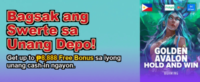 Premium Casino Gaming Experience